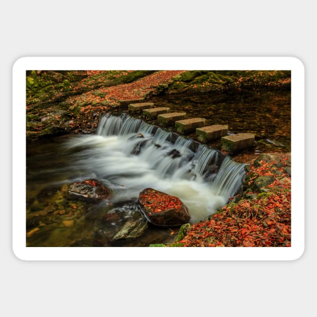 Stepping Stones, Tollymore Forest Park Sticker by Aidymcg